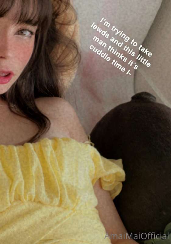 amaimaiofficial