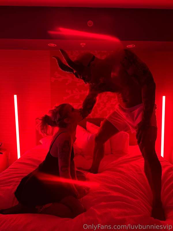 luvbunniesvip