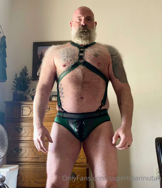 superbearinutah