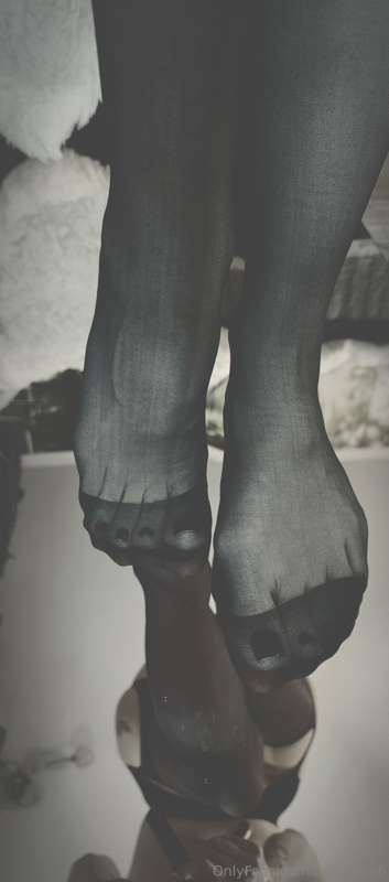 👣👣👣