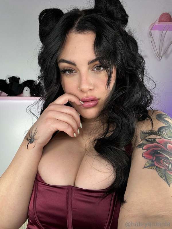 haleyquinnla