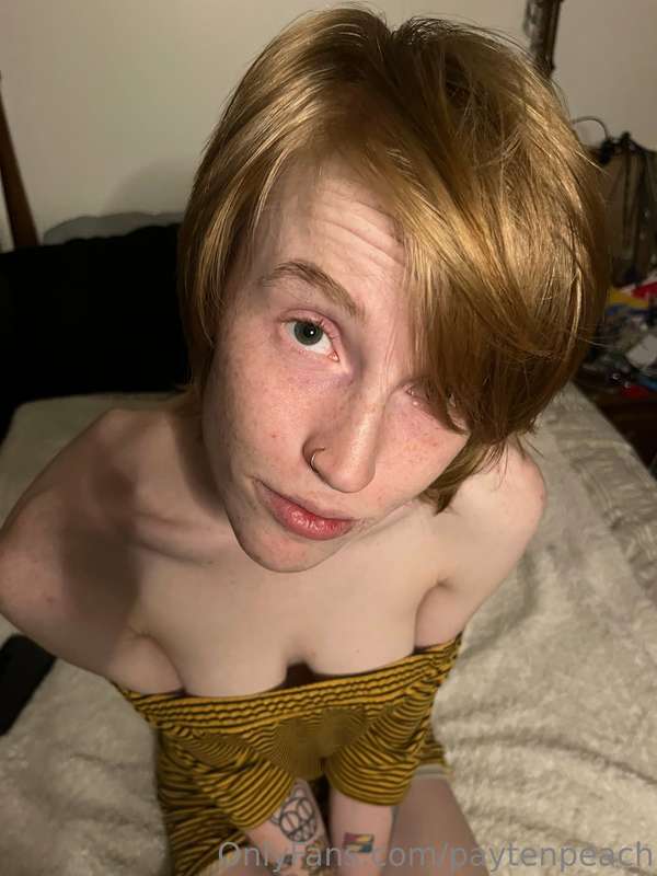 gingerkitty47 image #7
