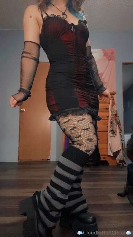 cloudkittencloud image #2