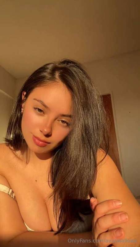 avaswallows