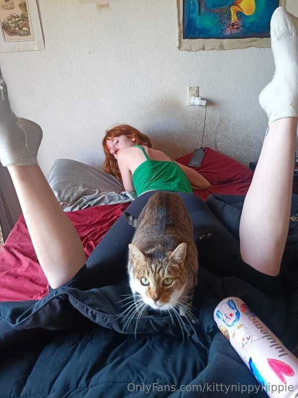 kittynippyhippie image #0