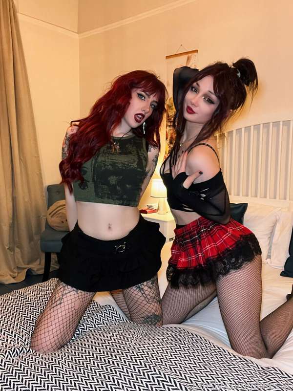 pixiecat image #32