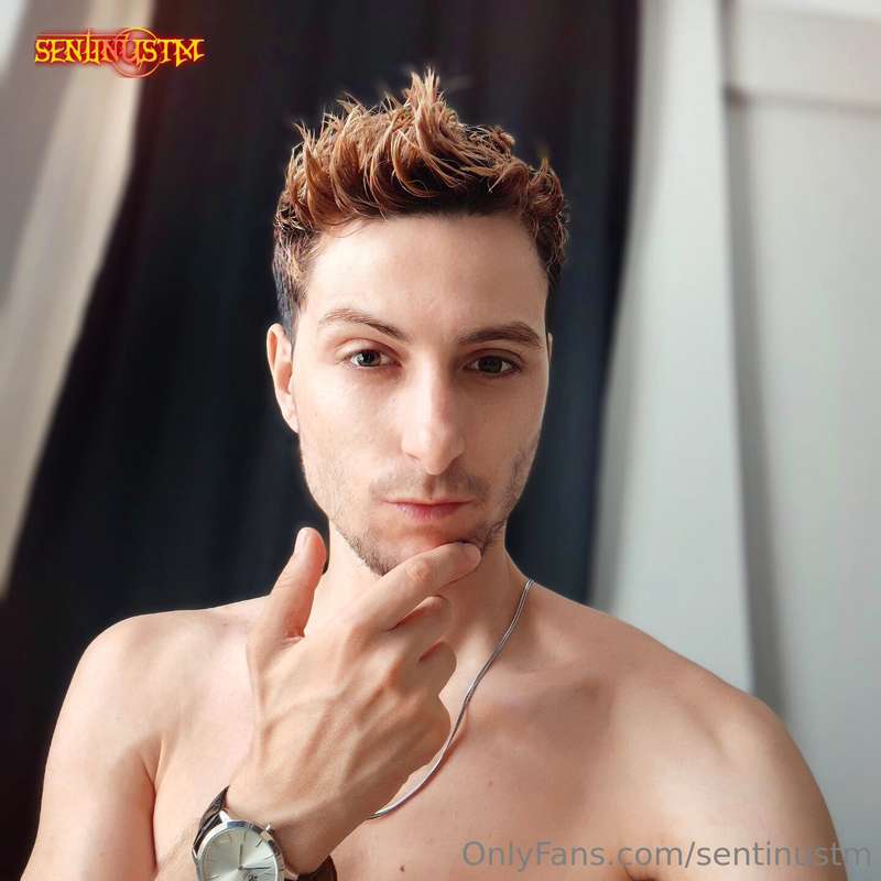 sentinustm image #0