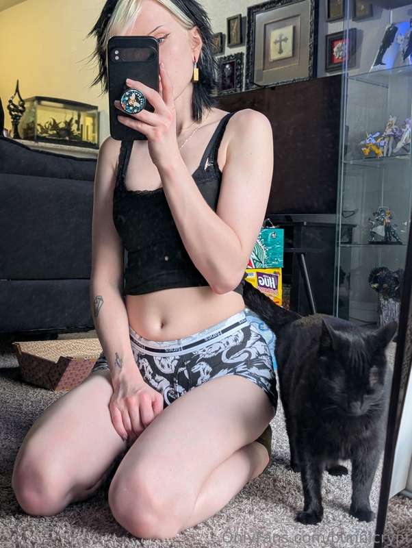 bunnicrypt image #6