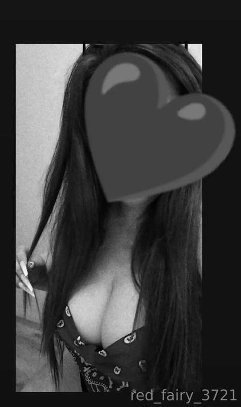 red_fairy3721