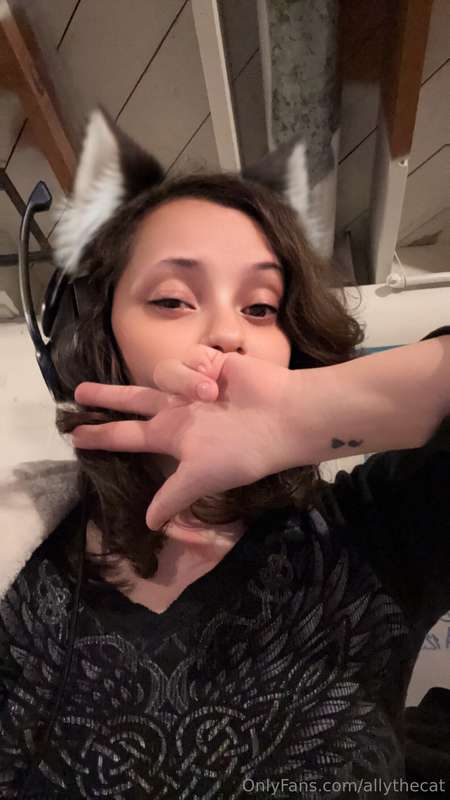 allythecat