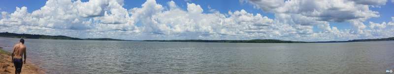 media