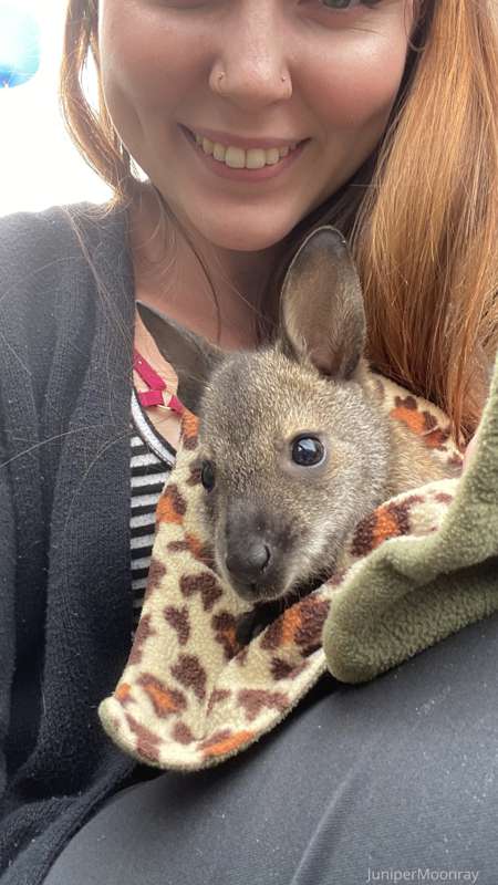Good morning! 😍❤️  Look at this adorable Joey!