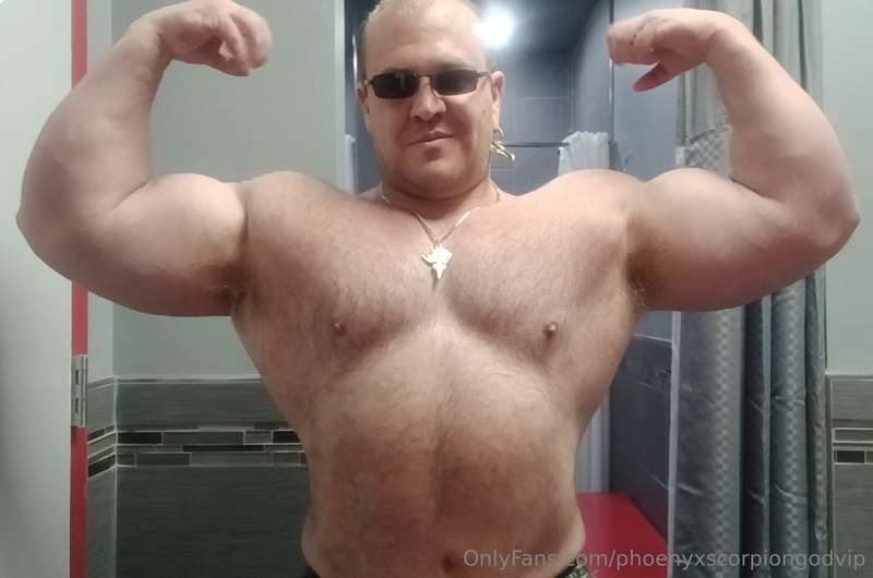 media