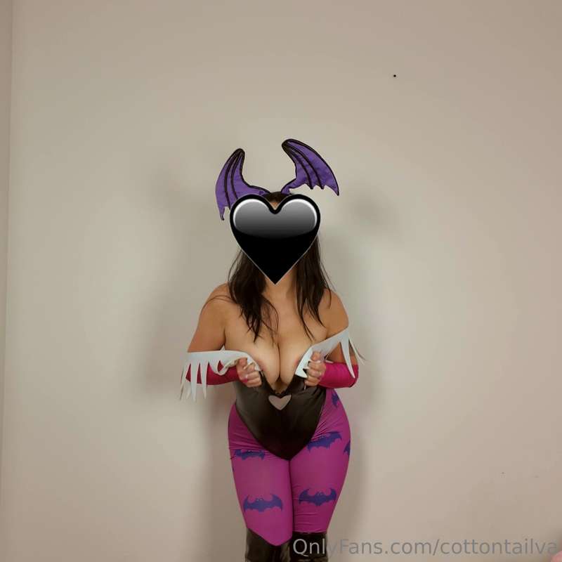cottontailva image #12