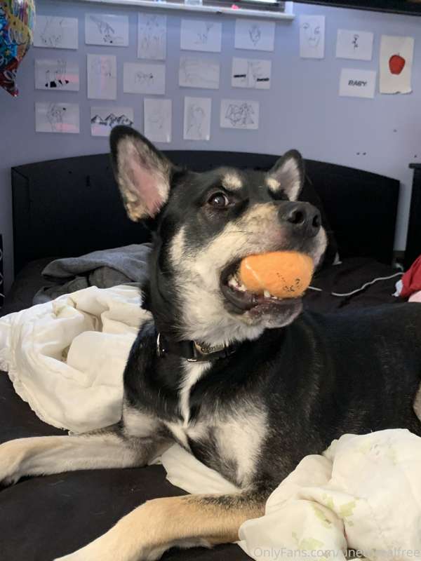 media