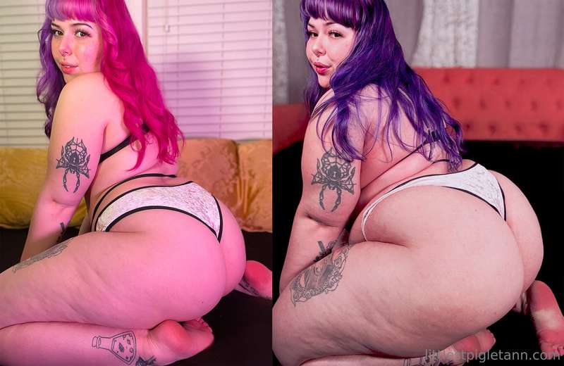 littlestpigletann