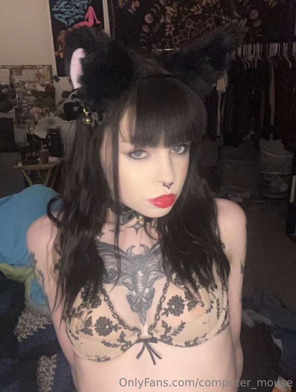 ⛓️ Kitten wants to be bred <3 (part 1)$5 PPV if you wanna se..