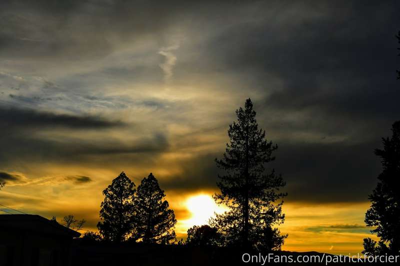 patrickforcier image #19