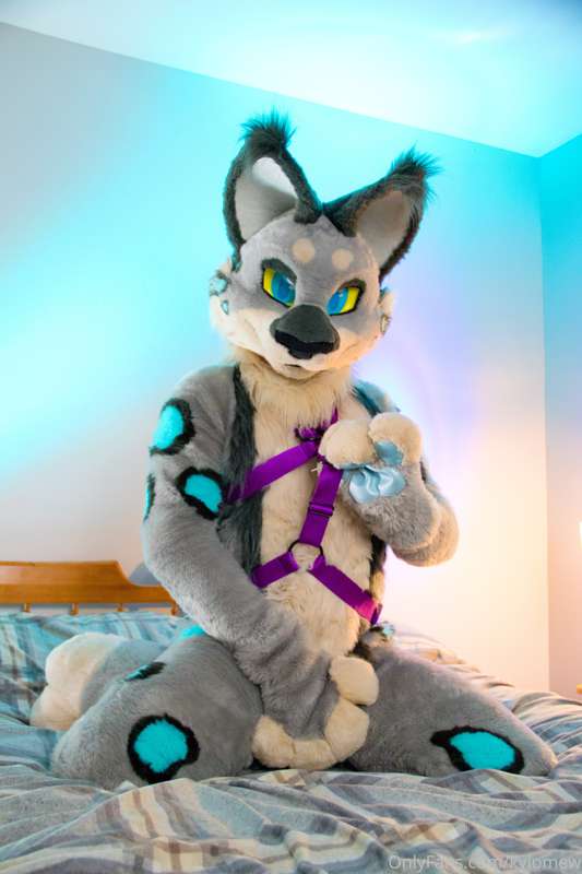 why dont you come give it a tug~