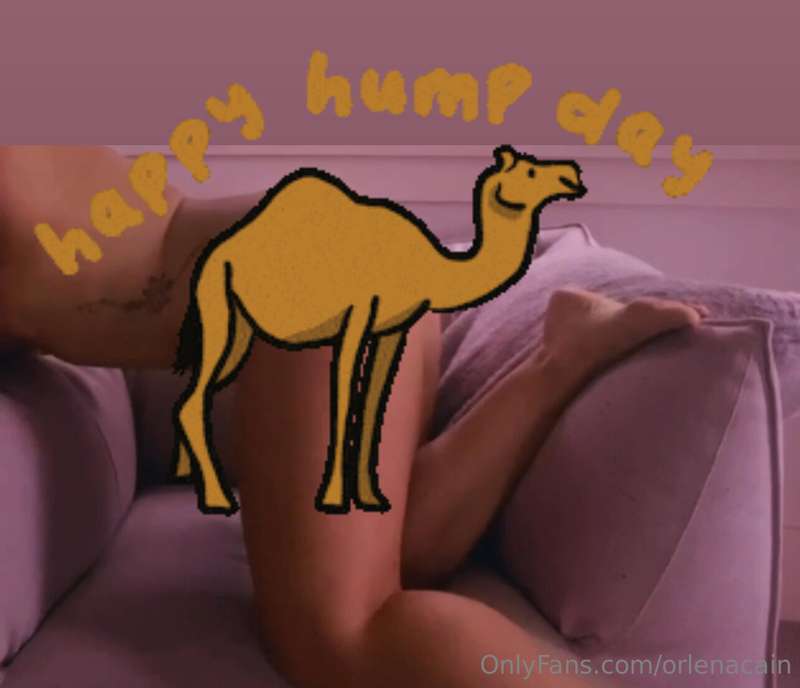 Want some HELP GETTING OVER THIS HUMP DAY? 
O x