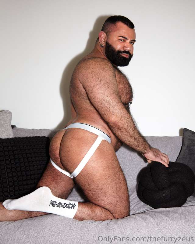 thefurryzeus