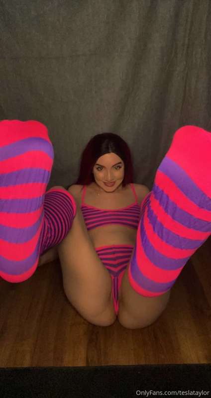 teslataylor
