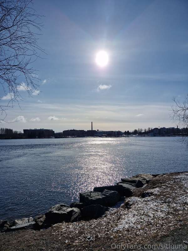 pikkusiili
