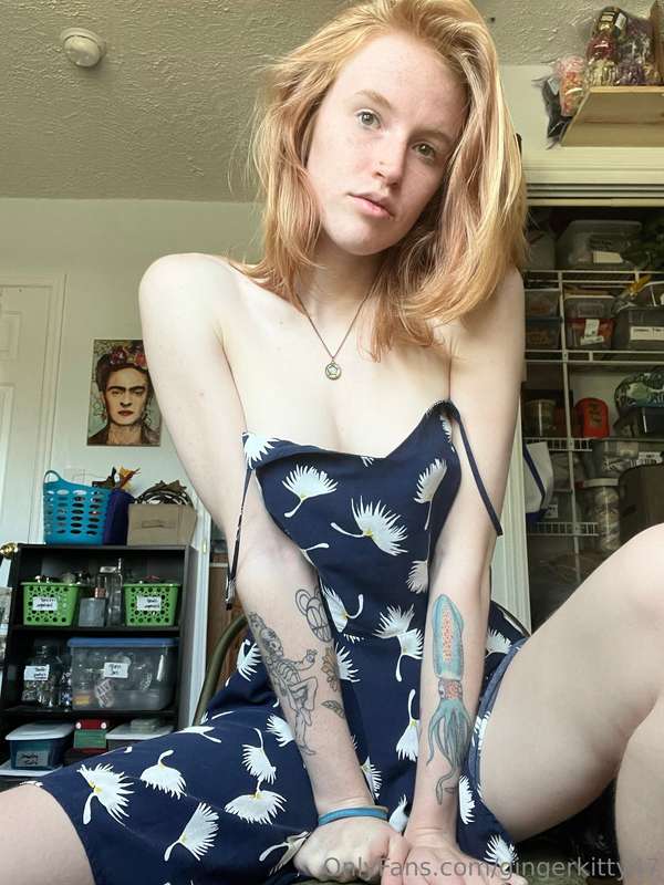 gingerkitty47 image #1