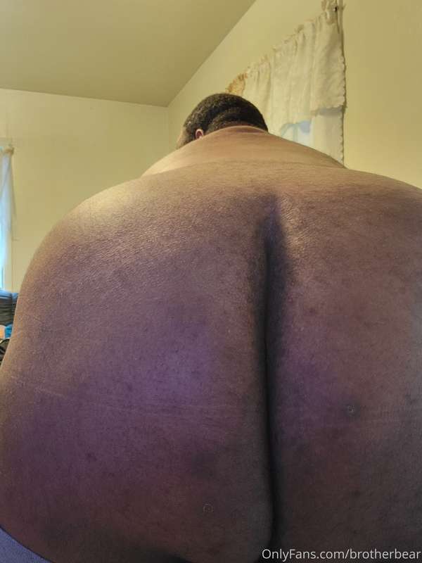 brotherbear image #2