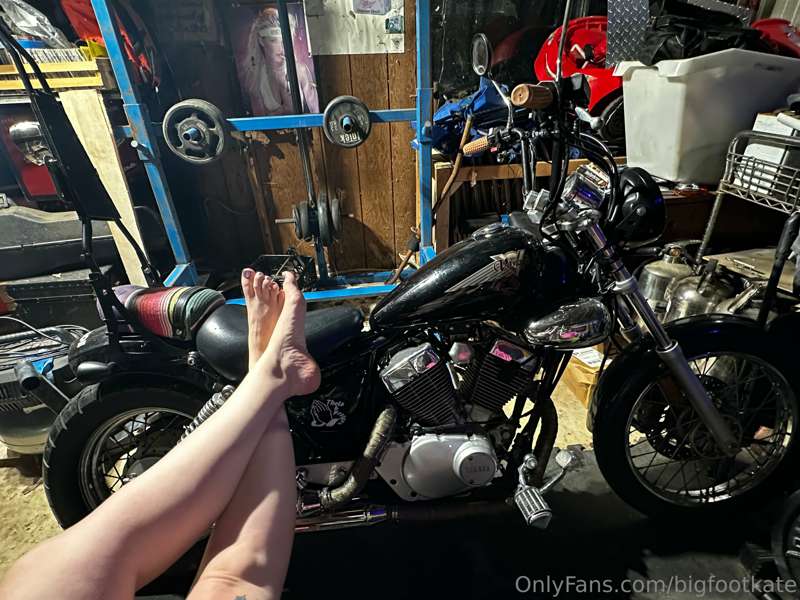 bigfootkate