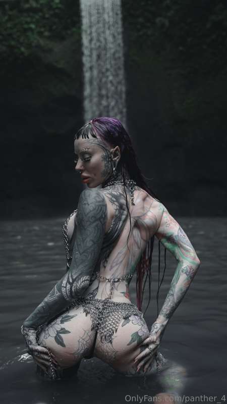 Panther_4