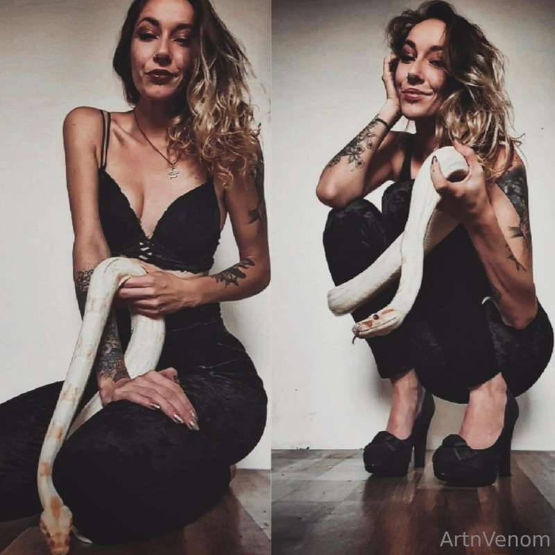 artnvenom