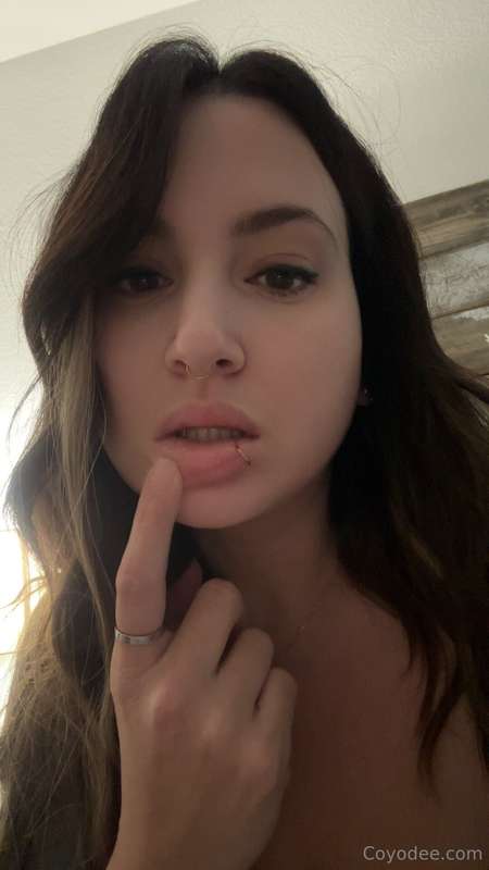 coyodee2