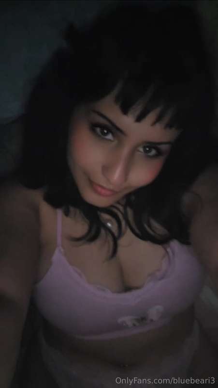 bluebeari3