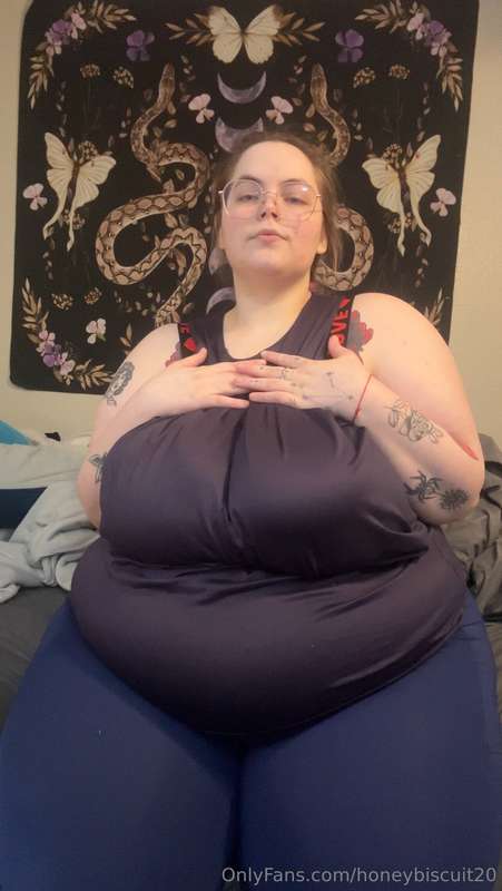 honeybiscuit20