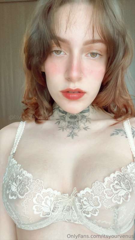 itsyourvenus