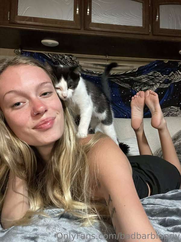 🐱 