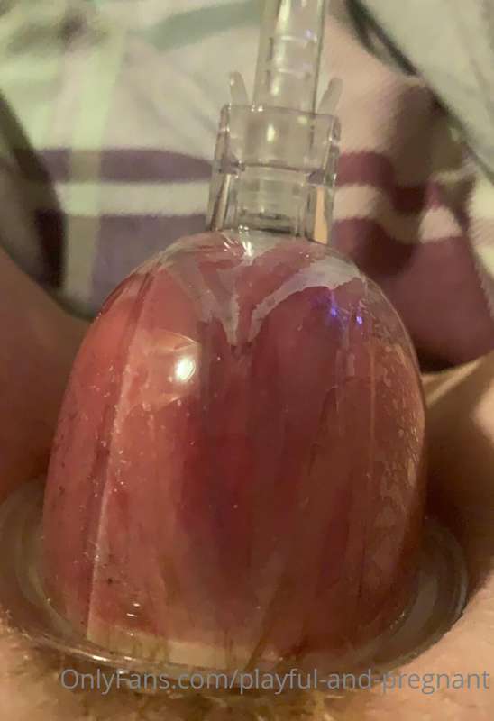 playful-and-pregnant