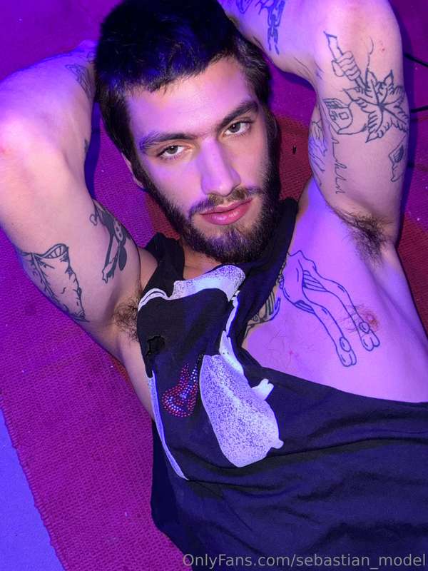 sebastian_model