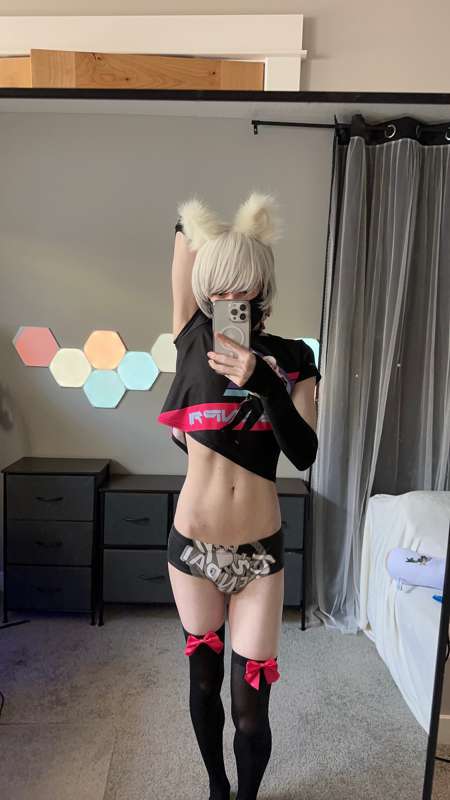 catboiaoi image #3