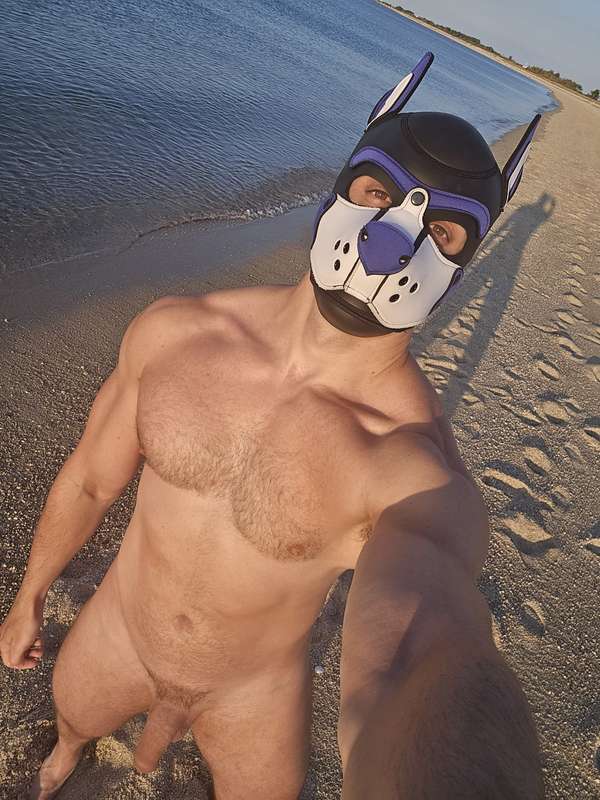Back at my favourite nude beach 🏖️🐶Will take a video of me r..