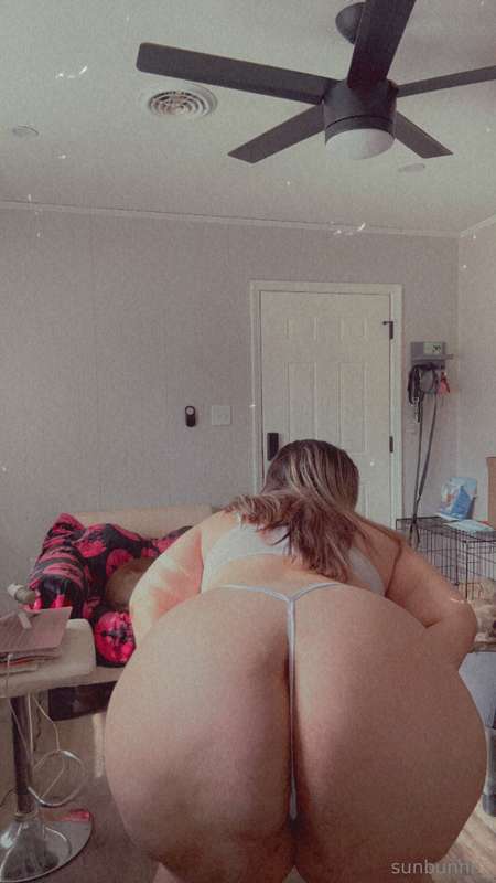 pawgwithablog97