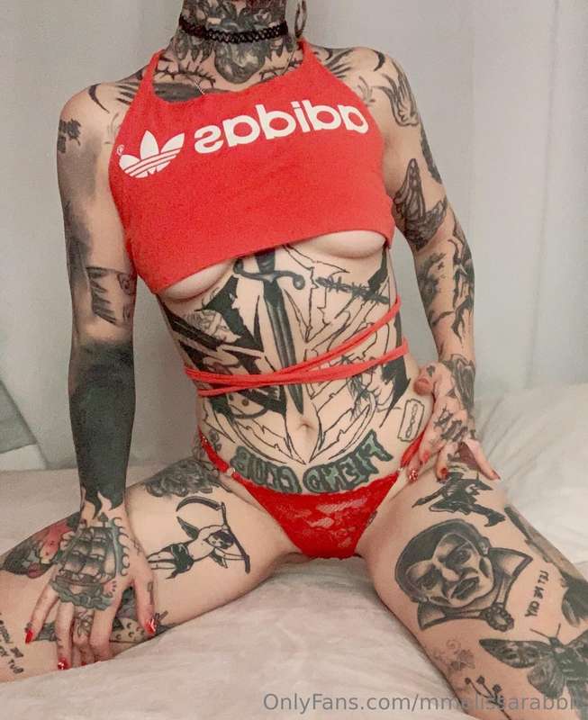 mmelissarabbit
