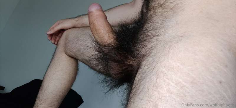 wolfalphaddy image #0
