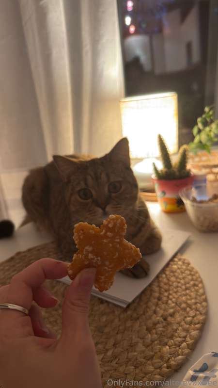 He looks at me like I'm holding the sacred star of his unive..