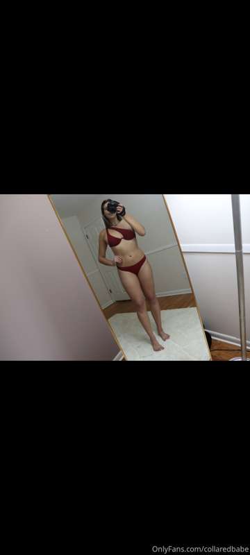 collaredbabe image #1