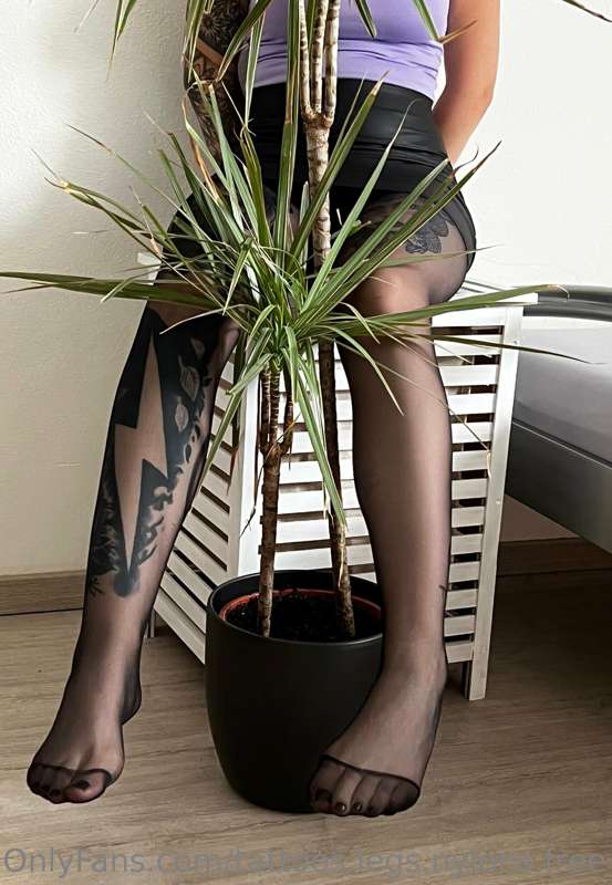 tattoos.legs.nylons.free