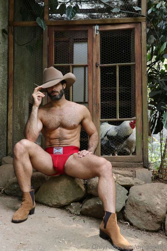 Diegosans