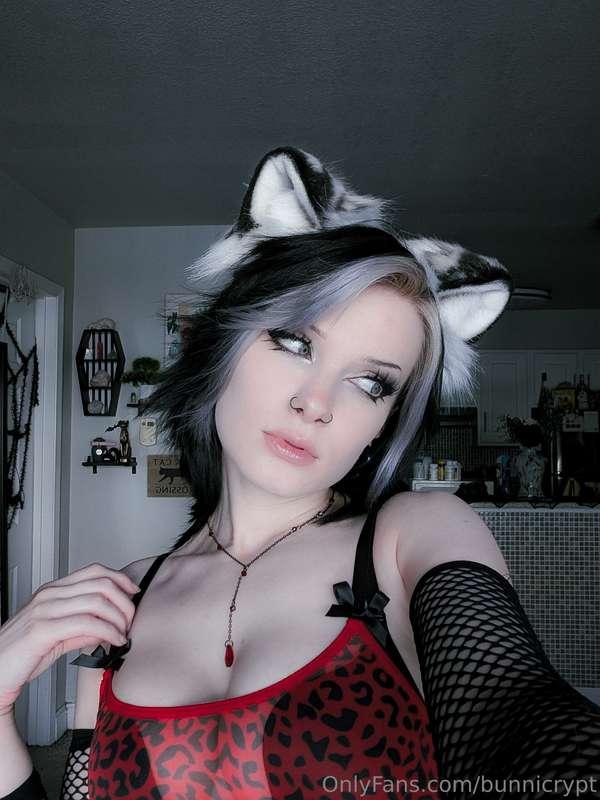 bunnicrypt image #7