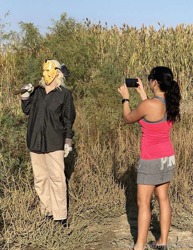 media